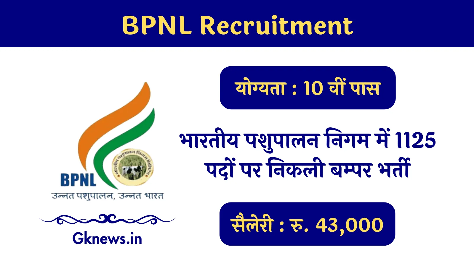 BPNL Recruitment 2024